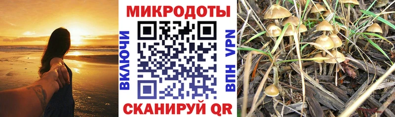 mega сайт Городец Галлюциногенные грибы прущие грибы