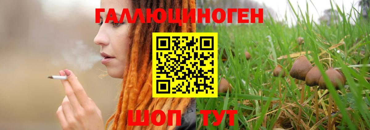 Городец  Галлюциногенные грибы ЛСД  Вход с VPN 