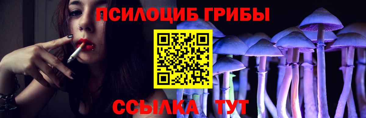 Галлюциногенные грибы MAGIC MUSHROOMS Городец